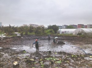 栾城河道鱼塘清淤